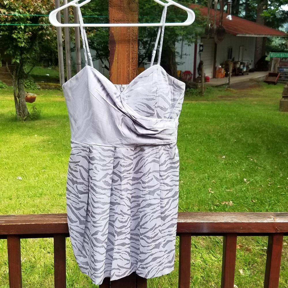 Snap Silver Zebra Print Semi- Formal Dress - Size 13